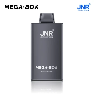 Mega Box 25K Puffs Disposable Vape 5pcs/pack